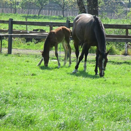B&B De Turffabriek Griendtsveen Ngoại thất bức ảnh